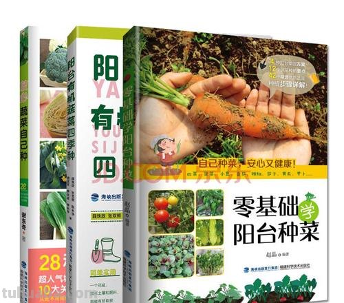 零基础家庭种植经验