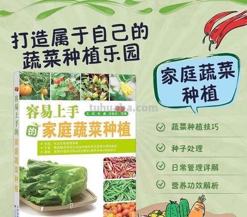 零基础家庭种植经验