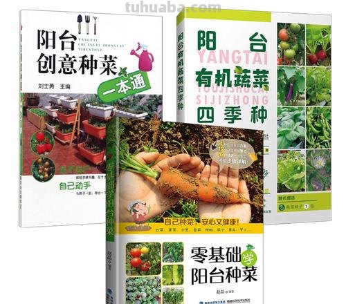 零基础家庭种植经验