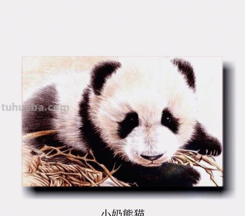 用彩铅画竹子熊猫怎么画 7岁宝宝画熊猫教程？