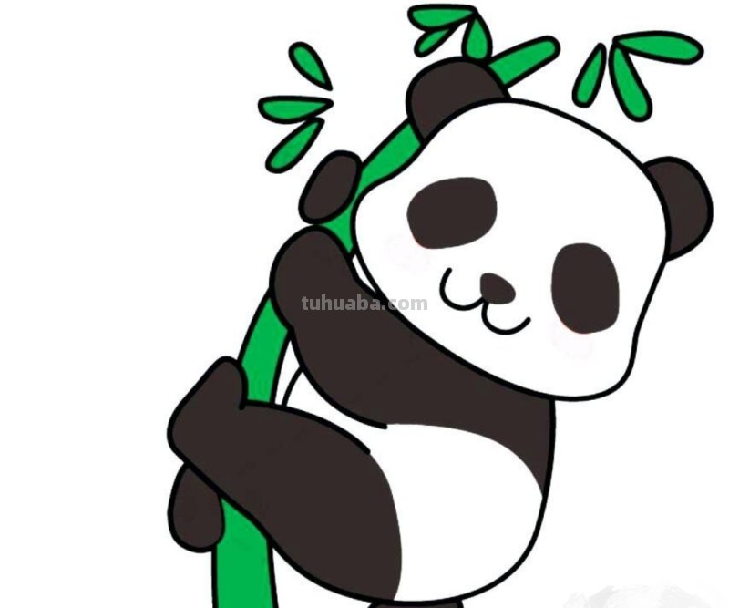 用彩铅画竹子熊猫怎么画 7岁宝宝画熊猫教程？