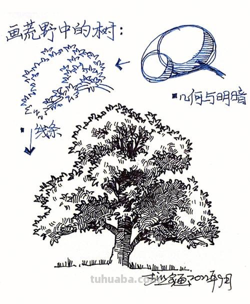 树木园速写 风景速写树的画法？