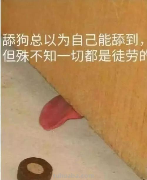 舔狗 舔狗是什么意思呢