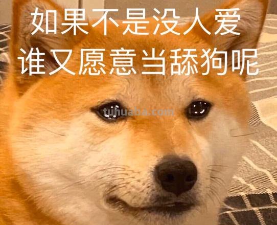 舔狗 舔狗是什么意思呢