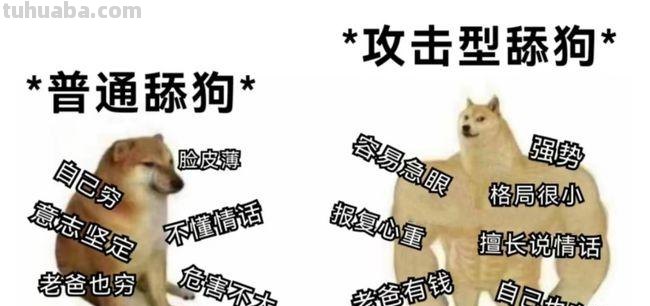 舔狗 舔狗是什么意思呢