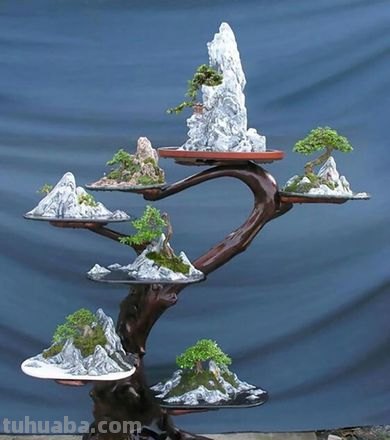 盆栽养护技巧：在有限空间中创造独特植物风景！