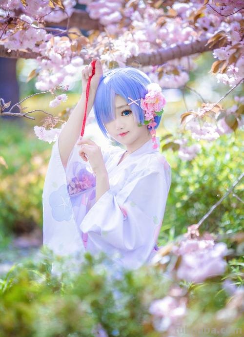 COSER coser是什么意思