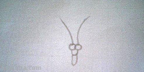 彩铅画立体小蝴蝶怎么画 一步一步画蝴蝶？