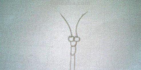 彩铅画立体小蝴蝶怎么画 一步一步画蝴蝶？