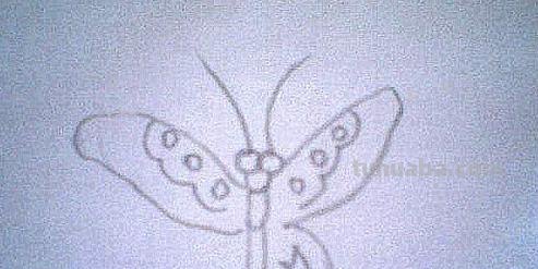 彩铅画立体小蝴蝶怎么画 一步一步画蝴蝶？
