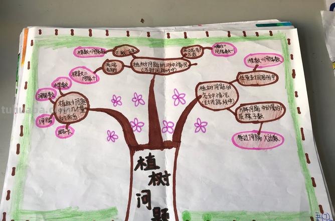 思维导图观察植物怎么画 如何画树状思维导图？