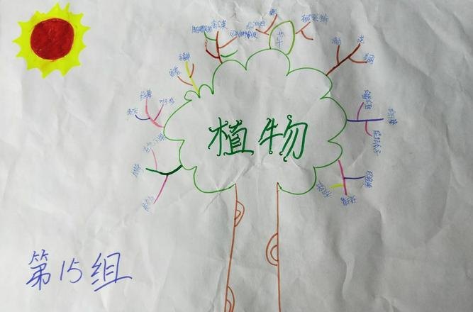 思维导图观察植物怎么画 如何画树状思维导图？