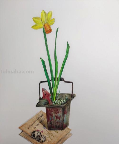 彩铅画怎么画水仙花 花的彩铅画?