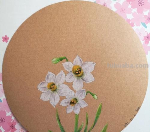 彩铅画怎么画水仙花 花的彩铅画?