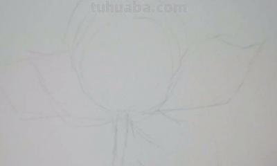 速写绘画技巧荷花 如何画荷花铅笔画？