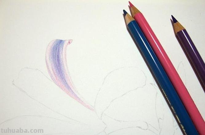画彩铅画需要什么笔 用彩色铅笔画时,用什么笔勾线?