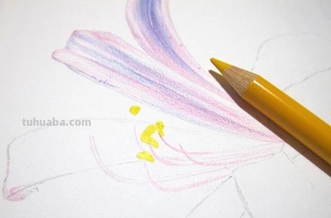 画彩铅画需要什么笔 用彩色铅笔画时,用什么笔勾线?