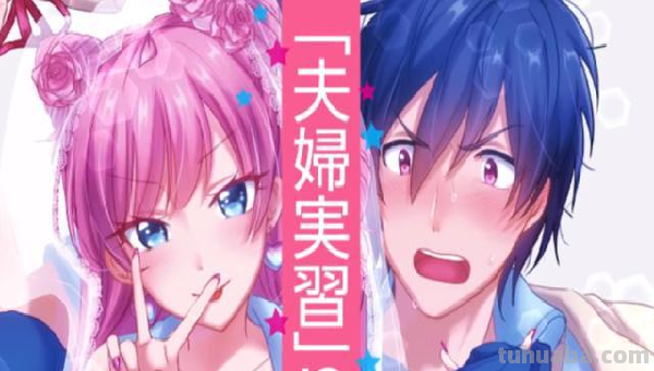 夫人以上恋人未满结局是什么?