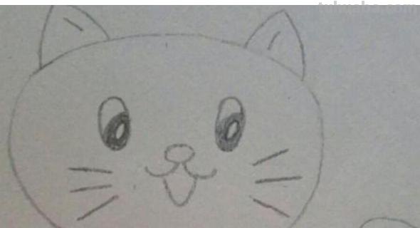 怎么画猫的简笔画步骤 如何画简笔画小猫？
