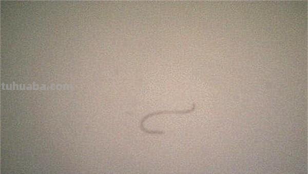海浪怎么画简笔画图片 画海浪最佳方法？