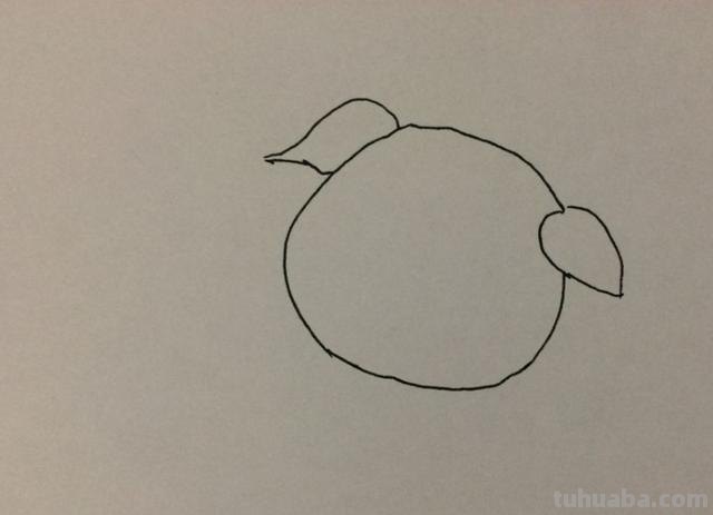 可爱的猪怎么画简笔画 小猪佩琪简笔画的简单画法？