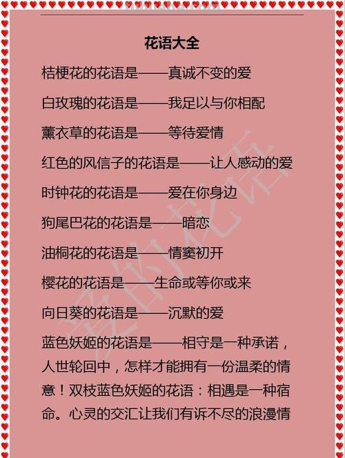 花语大全-50种花的花语!