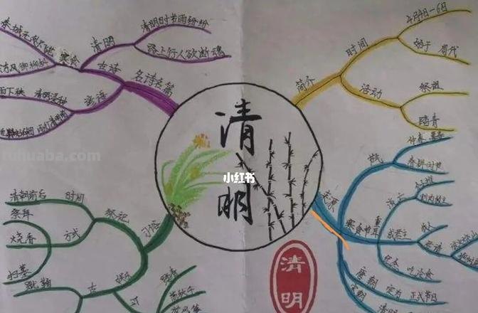 手绘清明思维导图怎么画 如何画思维导图？