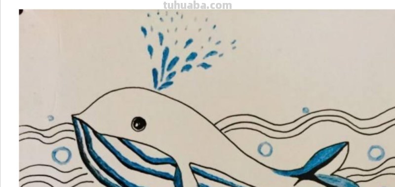 鲸怎么画简笔画图片 怎样快速画抹香鲸？
