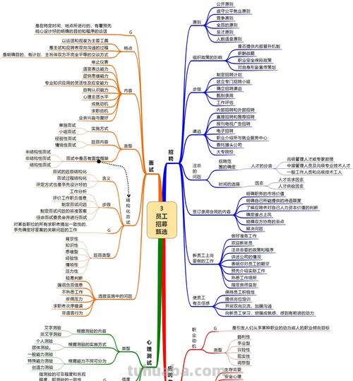 实体企业思维导图怎么画 思维导图怎么绘制?