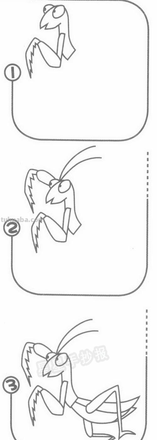 《生活中常见的昆虫》系列之螳螂简笔画