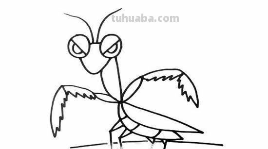 《生活中常见的昆虫》系列之螳螂简笔画
