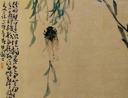 国画小课题:蝉的画法