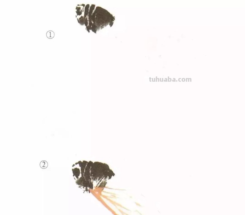 国画小课题：蝉的画法