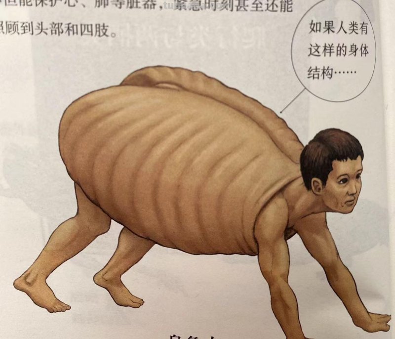如果人类和动物交换身体，会发生什么？荒诞又滑稽的样子太好笑