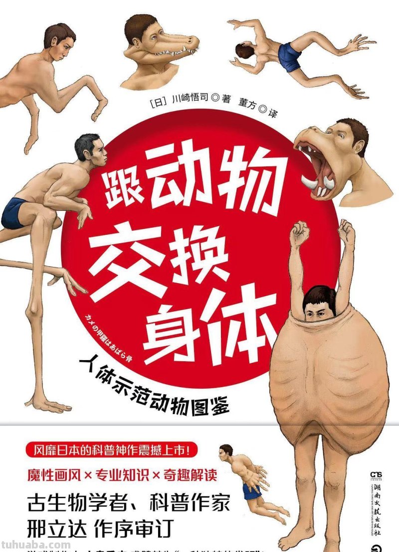如果人类和动物交换身体，会发生什么？荒诞又滑稽的样子太好笑