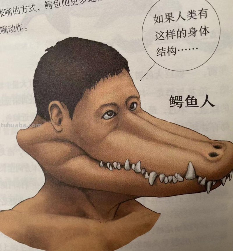 如果人类和动物交换身体，会发生什么？荒诞又滑稽的样子太好笑