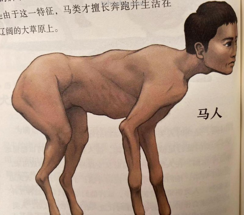 如果人类和动物交换身体，会发生什么？荒诞又滑稽的样子太好笑