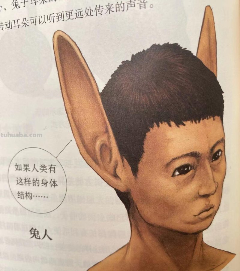 如果人类和动物交换身体，会发生什么？荒诞又滑稽的样子太好笑