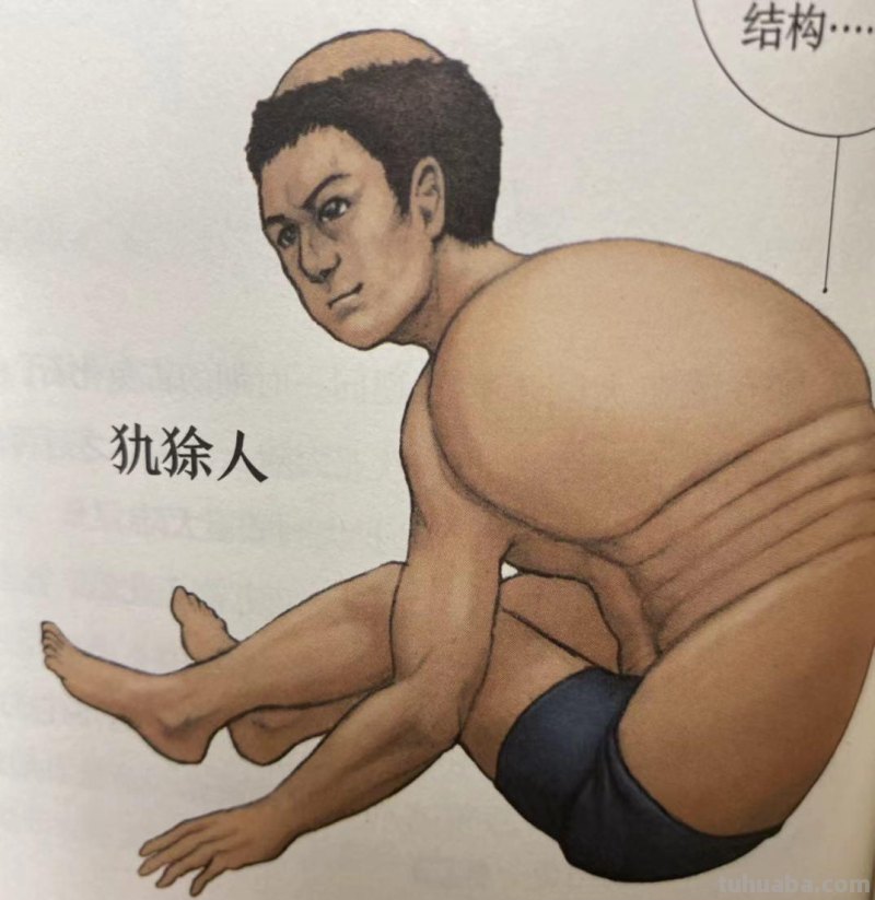如果人类和动物交换身体，会发生什么？荒诞又滑稽的样子太好笑