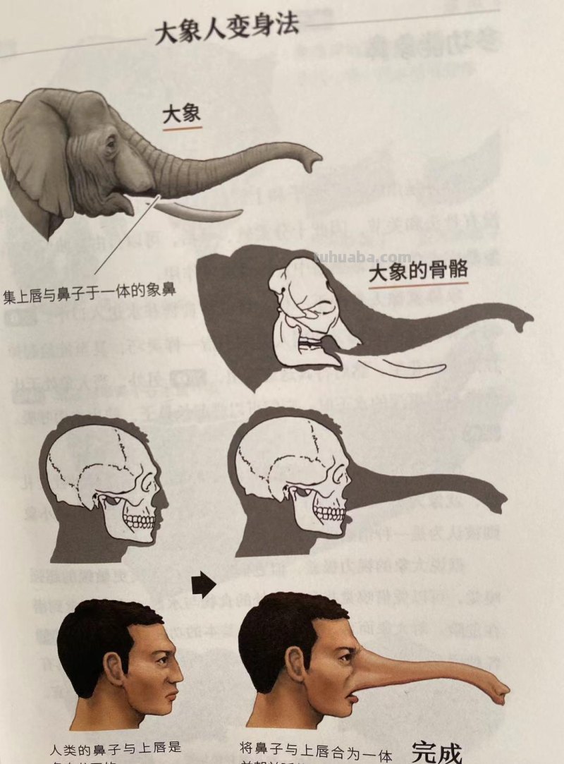 如果人类和动物交换身体，会发生什么？荒诞又滑稽的样子太好笑