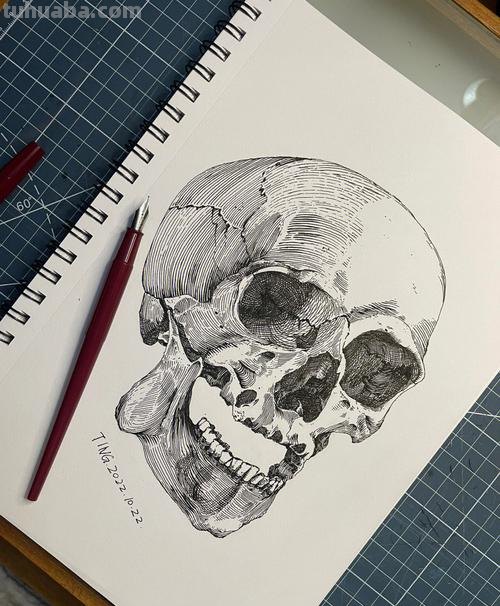 骷髅设计速写 怎样画骷髅头？