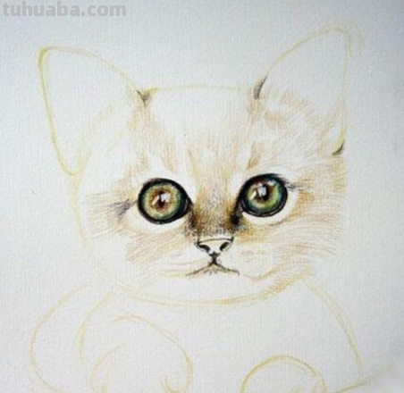 用彩铅画小爪子怎么画 彩色铅笔画可爱的小猫咪的教程详细步骤?