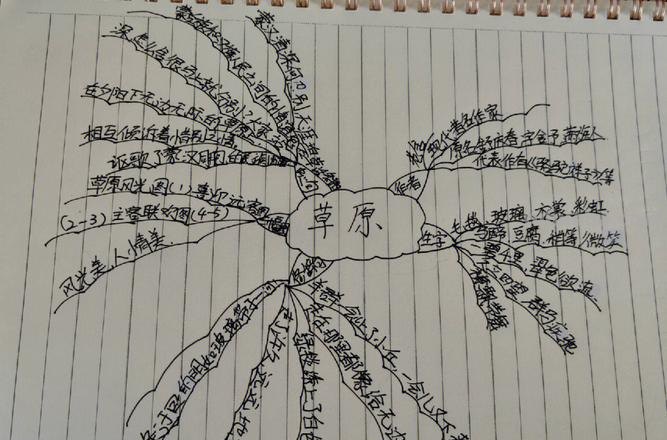 思维导图草原怎么画复杂 课文草原的脉络？