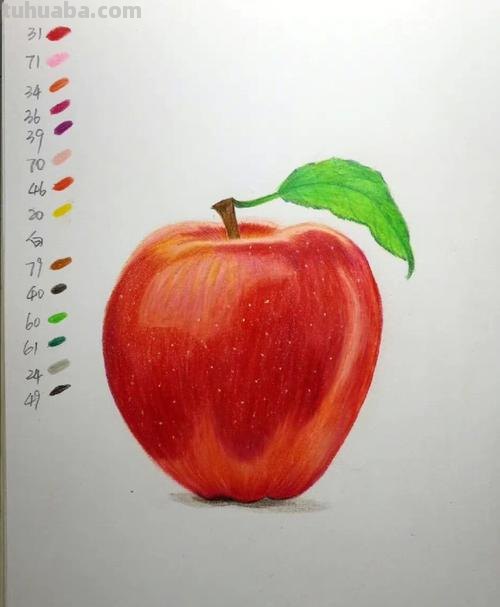 用彩铅画水果食物怎么画 用18色的彩铅能画出一个苹果吗?