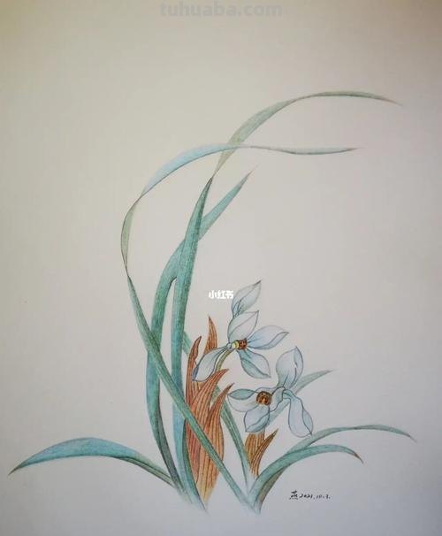 用彩铅画的兰草怎么画 水溶性彩铅怎样作画?