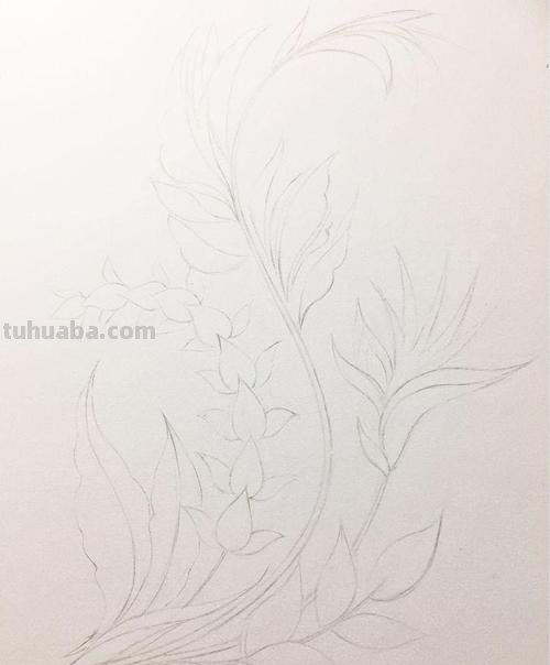 用彩铅画的兰草怎么画 水溶性彩铅怎样作画？