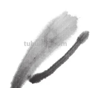 用彩铅画的兰草怎么画 水溶性彩铅怎样作画？