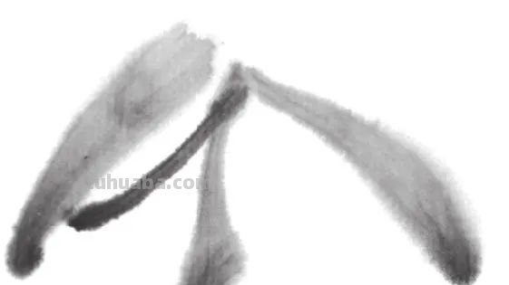 用彩铅画的兰草怎么画 水溶性彩铅怎样作画？