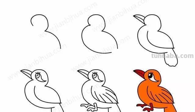 画眉鸟怎么画简笔画 简笔鸟的画?