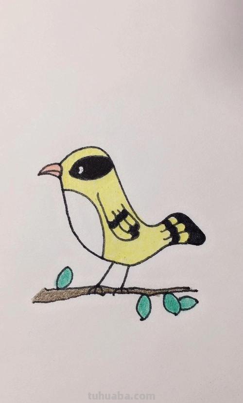 画眉鸟怎么画简笔画 简笔鸟的画?